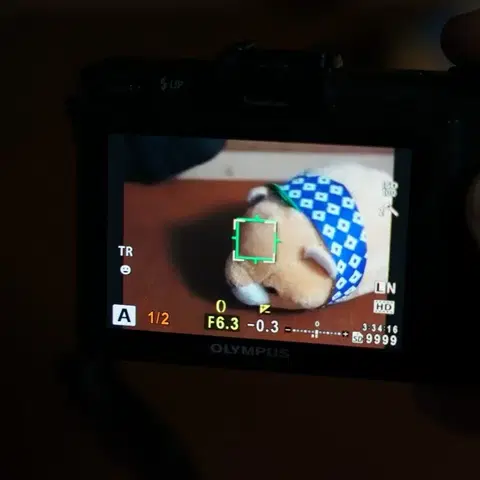 587d05e620f5d80f711abce05d6e58e0_1756290073_1856.jpg